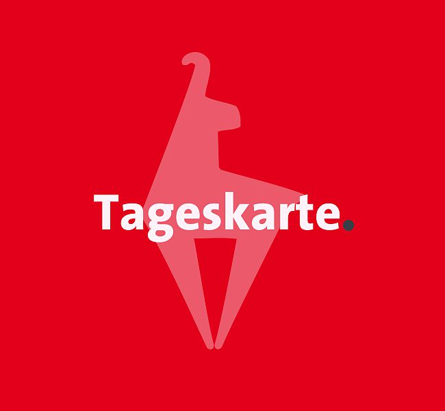 Tagesticket KitzSki